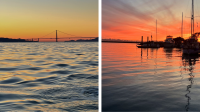 Sunset Bridge by Capt. Scott Paul & Berkeley Marina at Sunset by Jacqueline Brevik